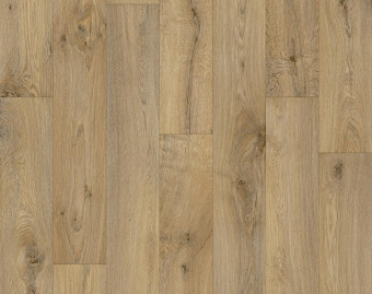 [700111308_4] Flex - Vero 346M